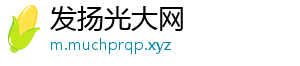 发扬光大网